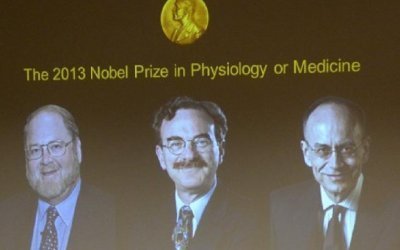 Cmimi Nobel i mjeksisë i shkon studiuesve të qelizave