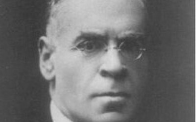 Dino Provenzal