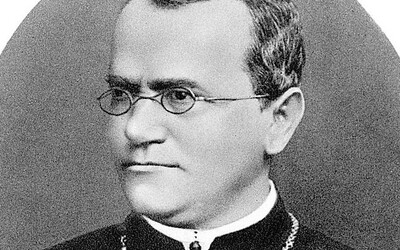 Gregor Johann Mendel