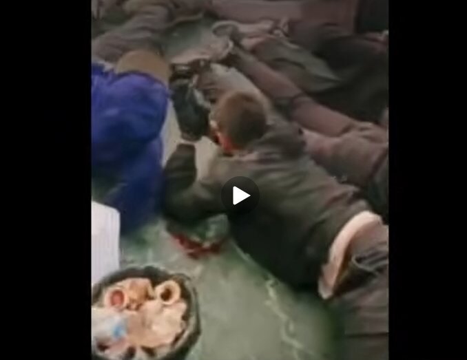 Skandal në komisariate: Të rinjtë e arrestuar mbahen përtokë dhe të lidhur, organizatat alarm për shkeljen e të drejtave të njeriut